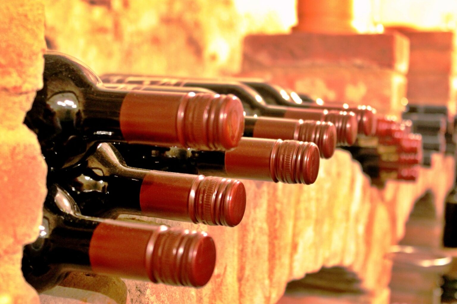 와인 보관법, 와인을 보관하는 방법